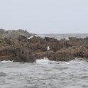 DSC 7165