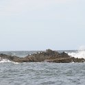 DSC 7191