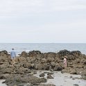 DSC 7276