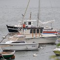 DSC 7296