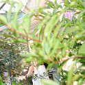 DSC 7367