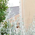 DSC 7368