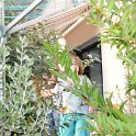 DSC 7371