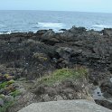 DSC 7553