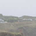 DSC 7564