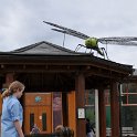 DSC 6180