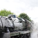 DSC 6028