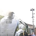 DSC 6101