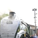 DSC 6102