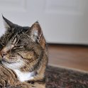 DSC 5821