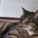 DSC 5822