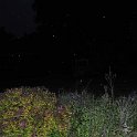 DSC 6009