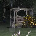 DSC 6010