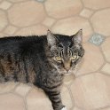 DSC 7605
