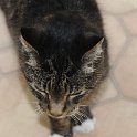 DSC 7610
