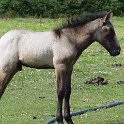 DSC08337