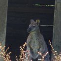 DSC08348