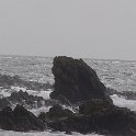 DSC08493