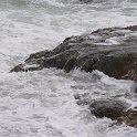 DSC08498