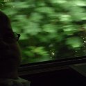 P1000141