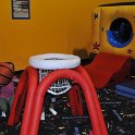 DSC 5657