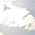 DSC 3481