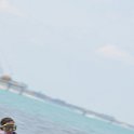 DSC 5215