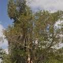 DSC 4456