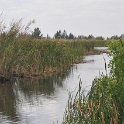 DSC 4484