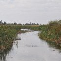 DSC 4495