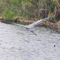 DSC 4517