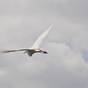 DSC 4573
