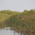 DSC 4657