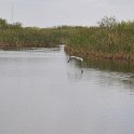 DSC 4660