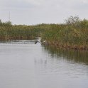 DSC 4662