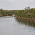 DSC 4663