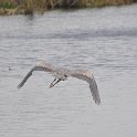 DSC 4694