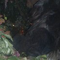 DSCF0214