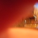 DSCF0218