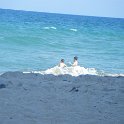 DSCF0228