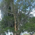 DSCF0236
