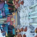 DSCF0271