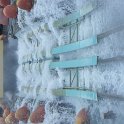 DSCF0272