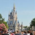 DSC 4923