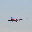 DSC 8519