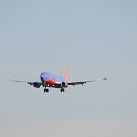 DSC 8557