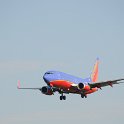 DSC 8558