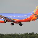 DSC 8564