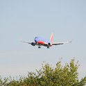 DSC 8604