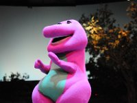 DSC 1574